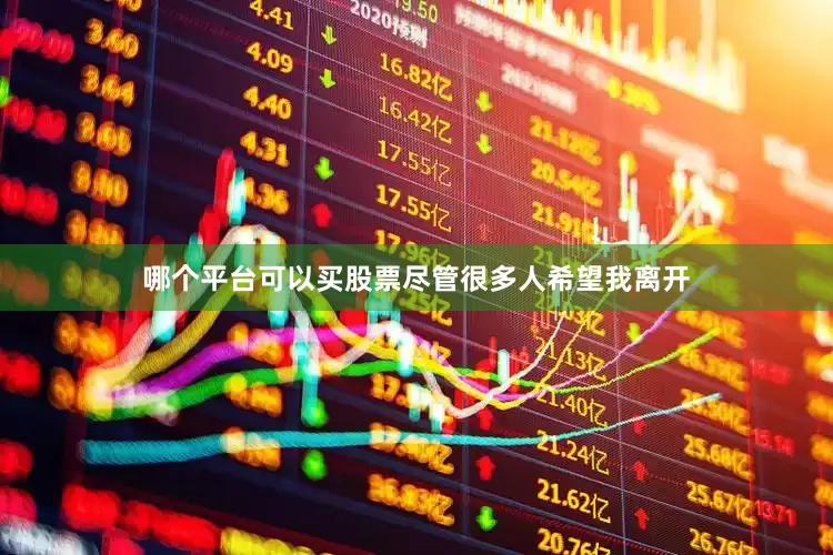 哪个平台可以买股票尽管很多人希望我离开